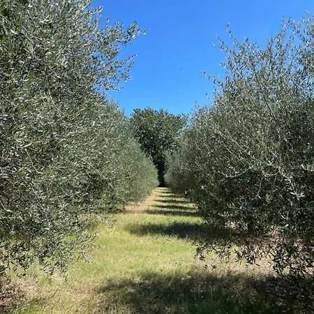 Casale Dell'assiolo 4* Кастильоне-дель-Лаго