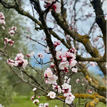 Casale Dell'assiolo * Castiglione del Lago